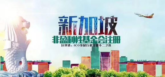 新加坡非营利基金会和注册普通私人有限公司本质上有什么区别?